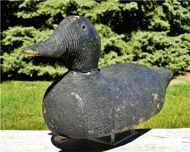 Animal Trap Company of North America