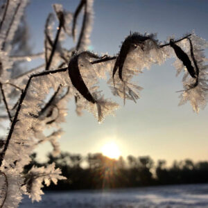 Frost morning in Waushara County