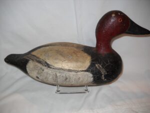Stark Canvasback
