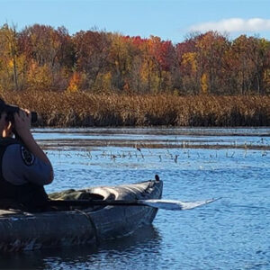 Mississippi Flyway