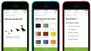 Merlin Bird ID app