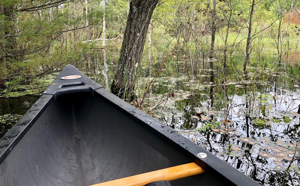 Canoe