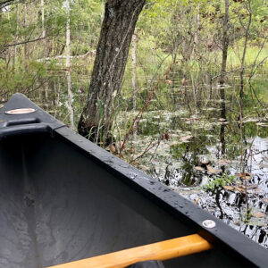 Canoe