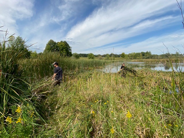Conservation