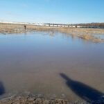 DNR’s “Feet Wet” Guidance in Court