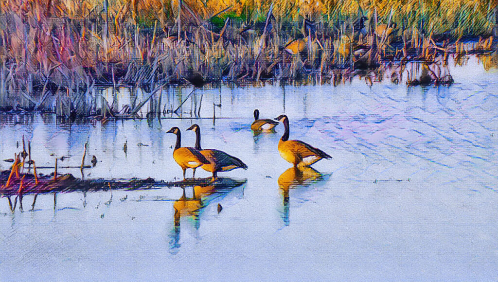 Flyway