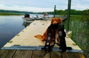 Grizzly posing with a life jacket