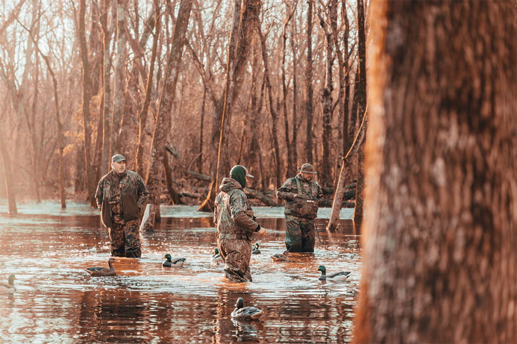 hunt wild wisconsin