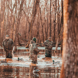 hunt wild wisconsin