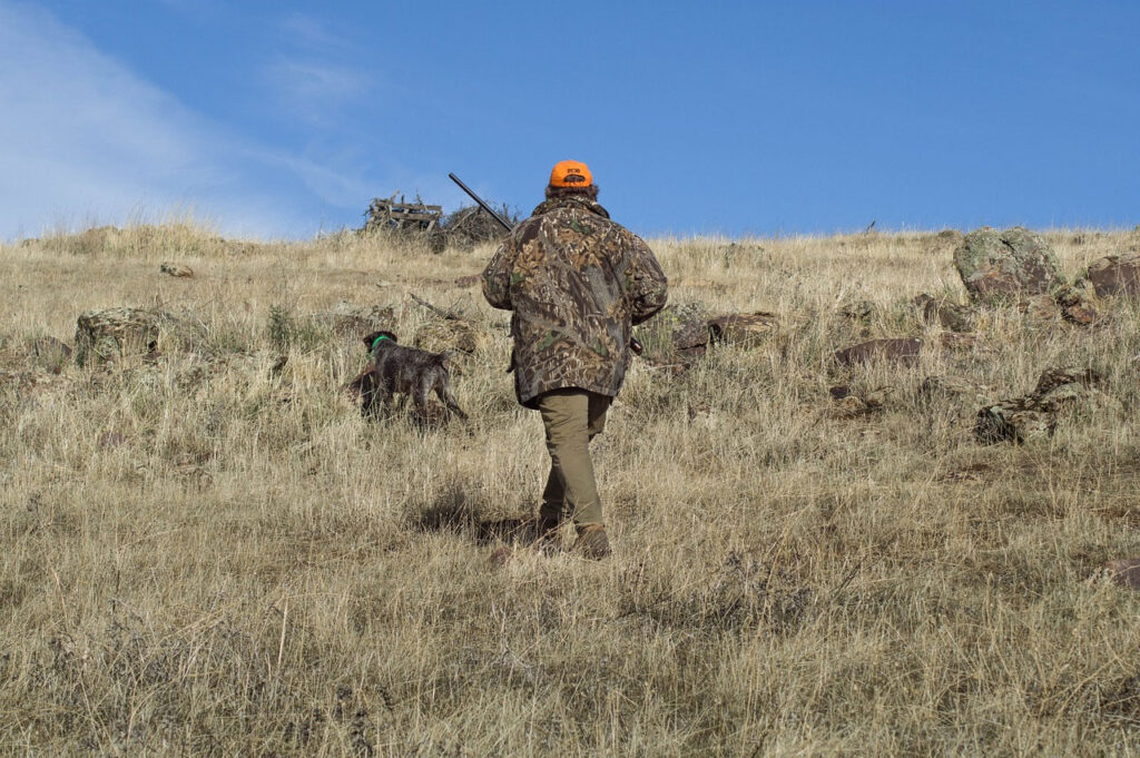 Hunting in Field
