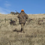 Hunting in Field