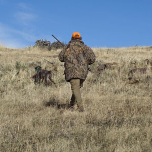 Hunting in Field