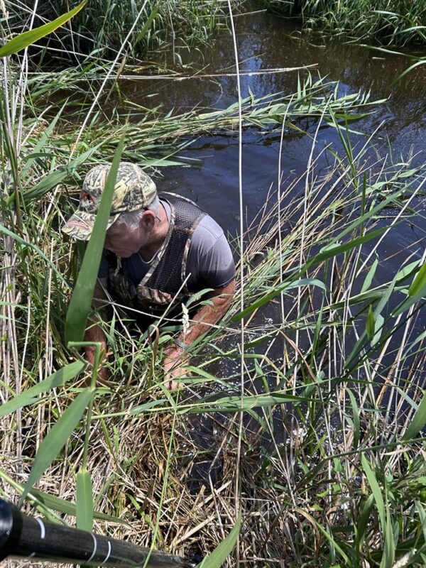 Mark in Marsh