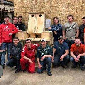 School Duck Houses