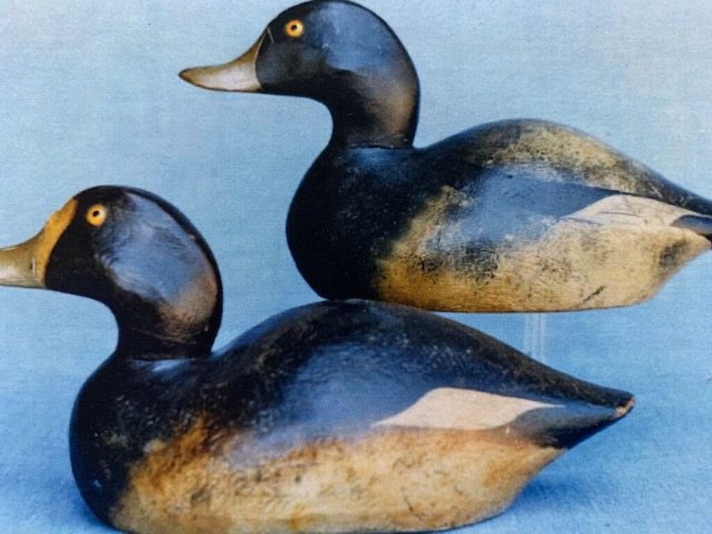 AOG Decoy