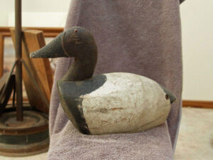 Art Bliefnick Canvasback