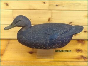 Ben Schmidt Black Duck