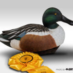 Best in Show