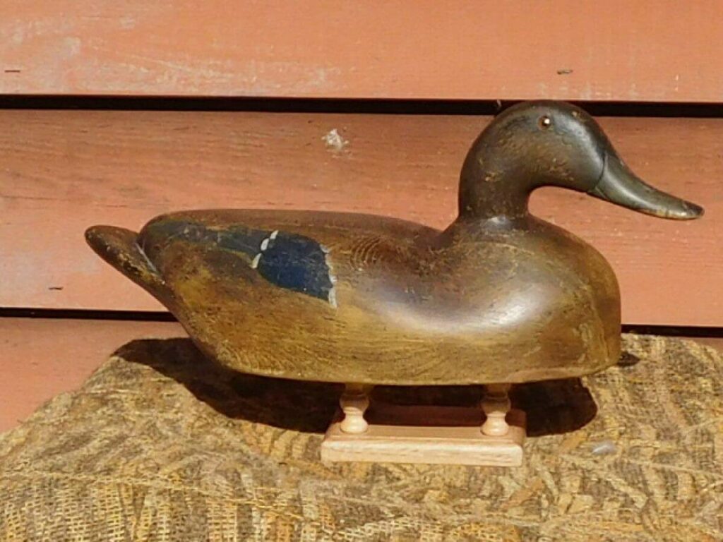 Large Blackduck