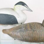 Common Eider Decoy Pair