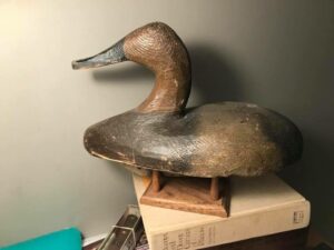 Ducharme Canvasback