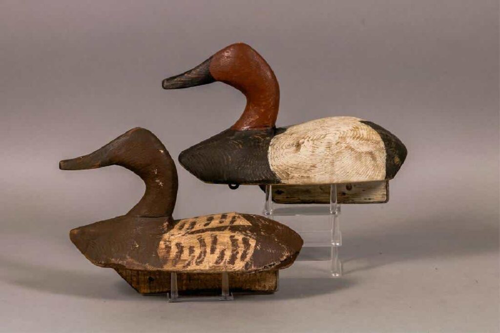 Ducharme Canvasback Pair