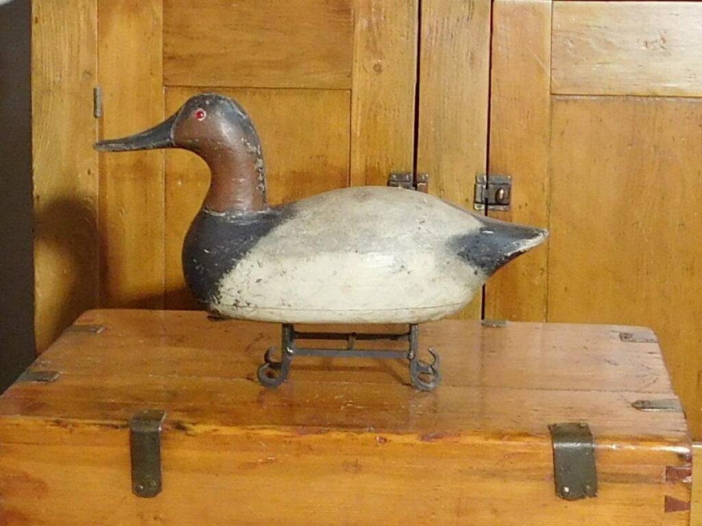 Ed Burgert Canvasback