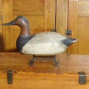 Ed Burgert Canvasback