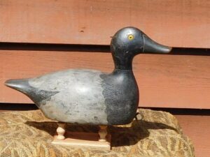 Ed Burgert bluebill