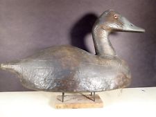 A Frank Strety Giant Canvasback hen