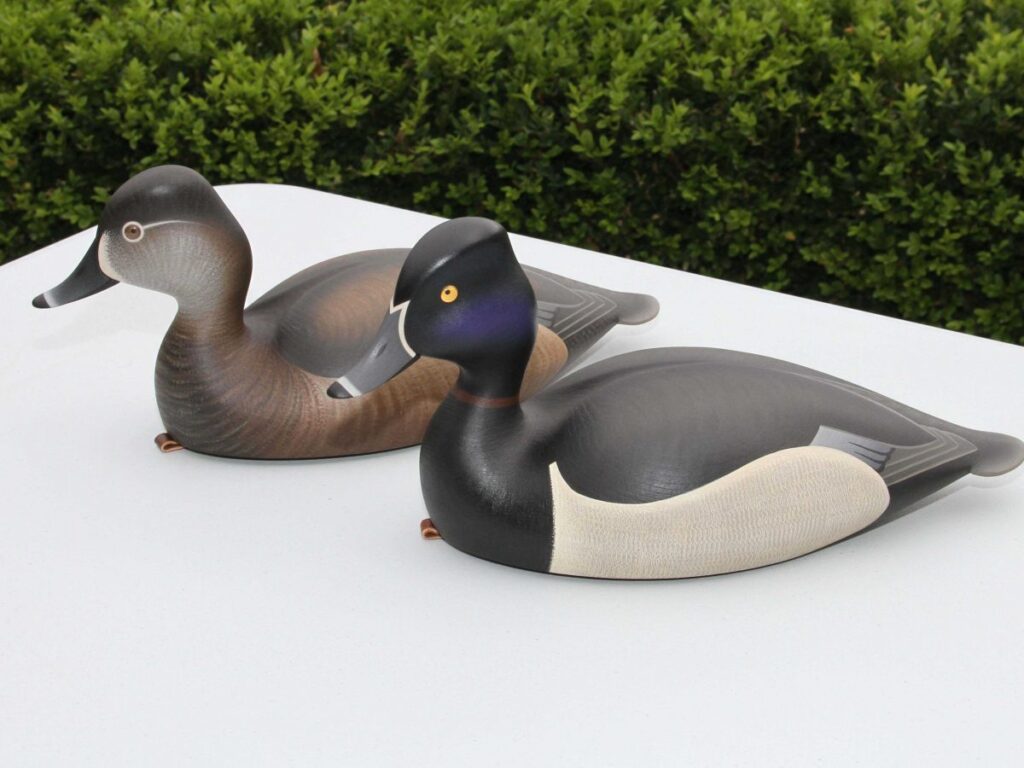 Ringbills