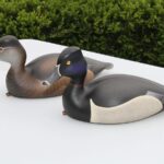 Ringbills