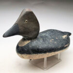 George H. Bacon Goldeneye Hen