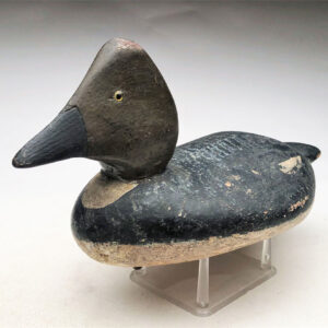 George H. Bacon Goldeneye Hen