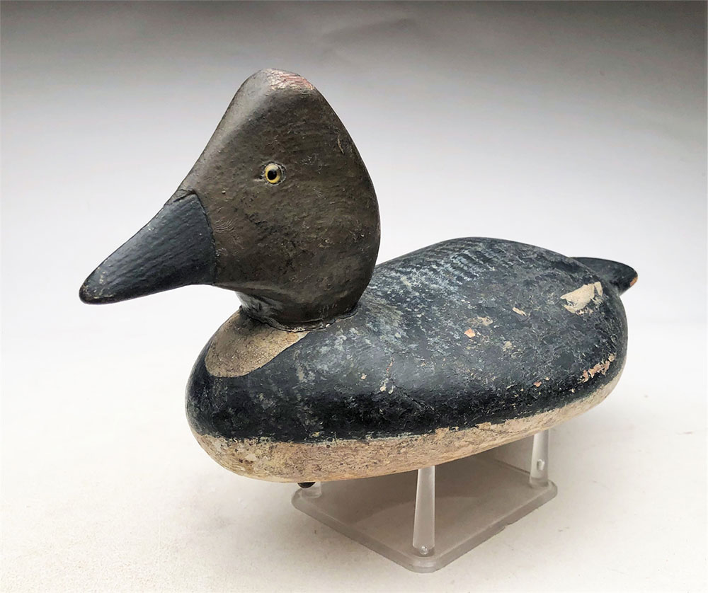 George H. Bacon Goldeneye Hen