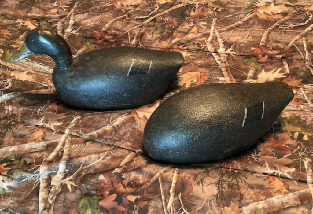 George Windross Jr Black Duck