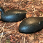George Windross Jr Black Duck