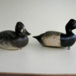 Gromme Bluebills