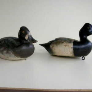 Gromme Bluebills