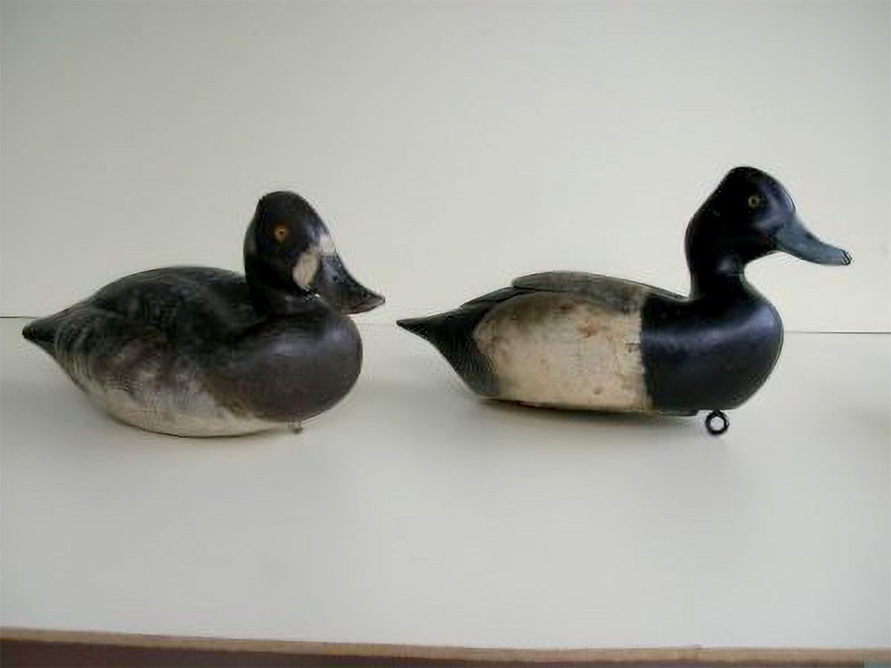 Gromme Bluebills