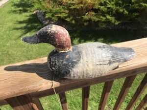 A Gundelfinger decoy owned by Bruce shows the paint flaking common in these decoys