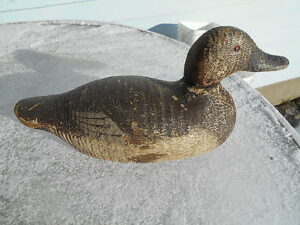 Gundelfinger canvasback