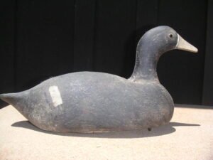 A Nelow Coot Decoy