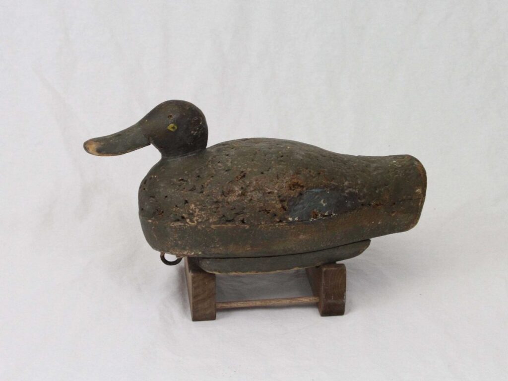 Herman Wendt Bluewing Teal