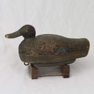 Herman Wendt Bluewing Teal