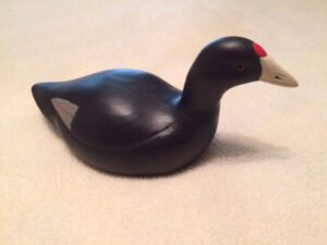 Joe Anderlik coot