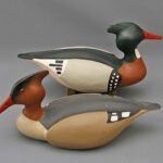 Joe Anderlik mergansers