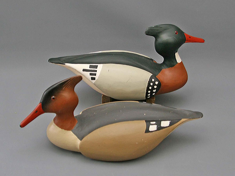 Joe Anderlik mergansers