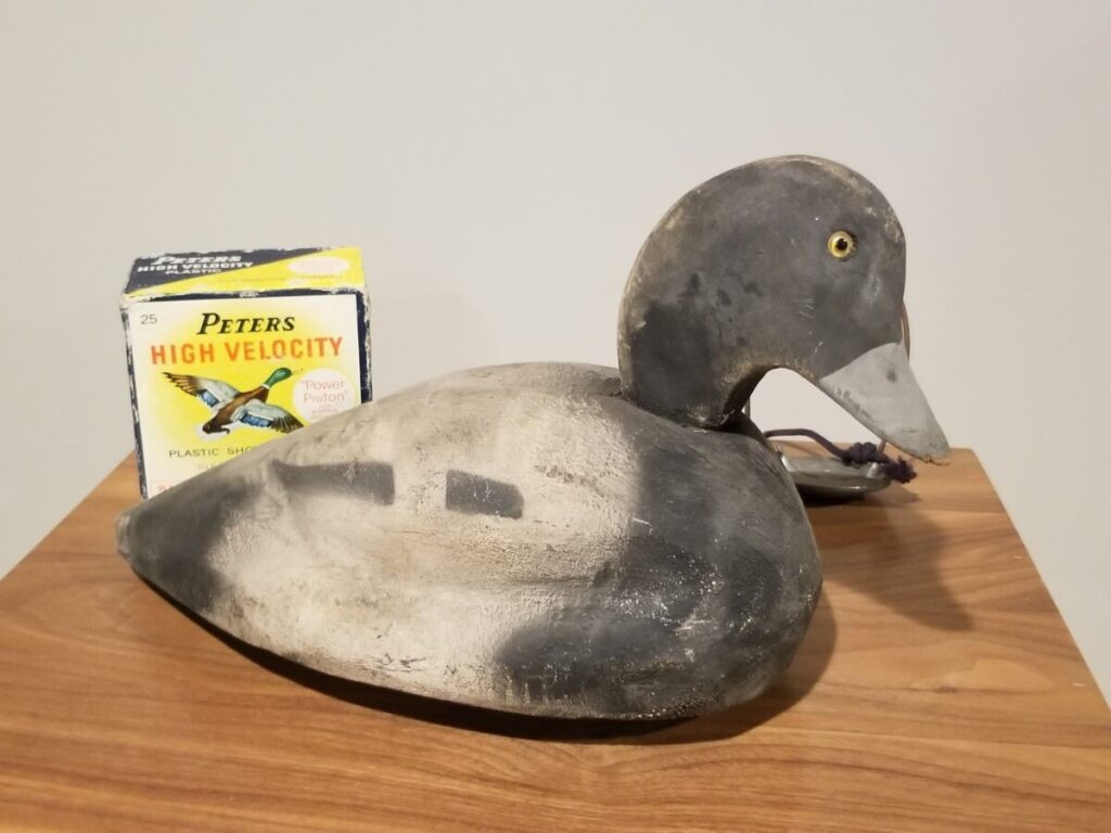 Bluebill