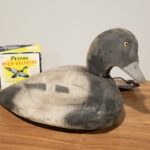 Bluebill